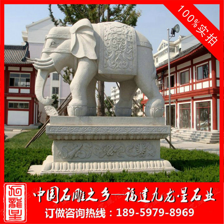 ç³éå¤§è±¡4