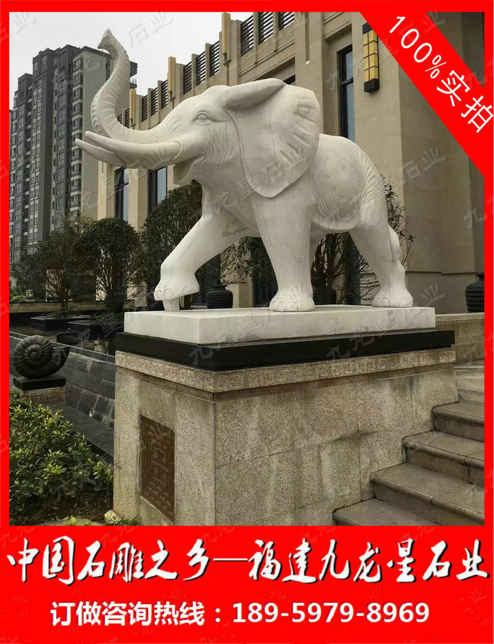 ç³éå¤§è±¡10